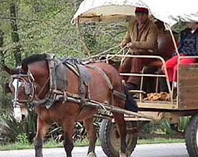 Passajades amb Carro 